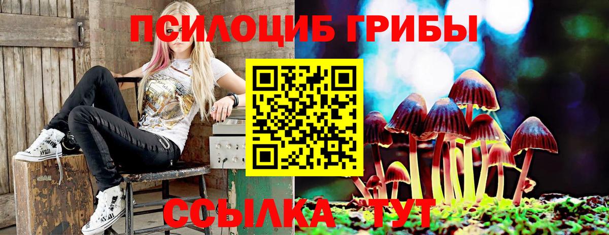 Псилоцибиновые грибы GOLDEN TEACHER Рассказово