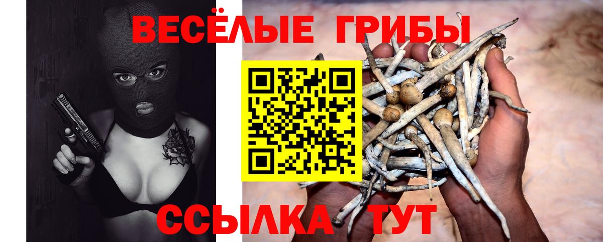 Галлюциногенные грибы GOLDEN TEACHER  Вход с VPN  Рассказово  как найти закладки  Галлюциногенные грибы Cubensis 