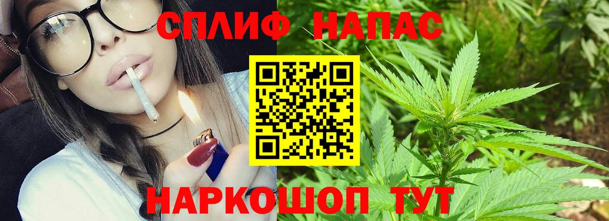 Бошки Шишки семена Рассказово